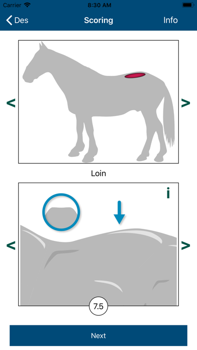 Equine Body Condition Scoring screenshot 3