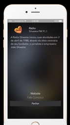 Silvestre FM 91,1 Captura de tela 2