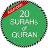 Get Last 20 Surahs of Quran mp3 for iOS, iPhone, iPad Aso Report