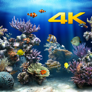 Aquarium 4K √