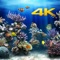 Aquarium 4K