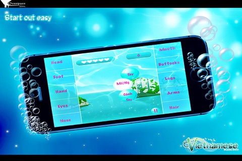 Vietnamese Bubble Bath Pro screenshot 2