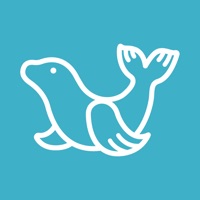 임신, 육아정보 다 담았다 - 웨델