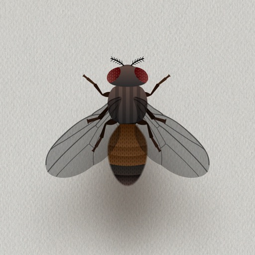 CAT ALONE - Cat Toy Download