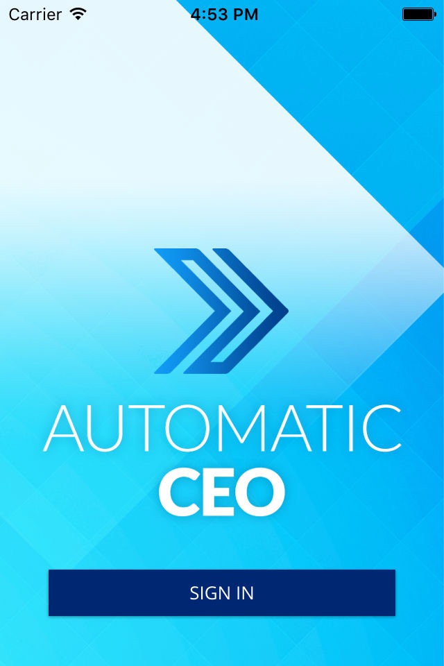 AutomaticCEO screenshot 2