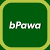 B Pawa