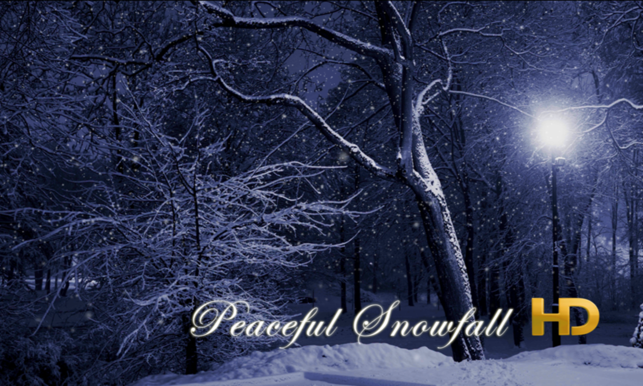 Peaceful Snowfall HD