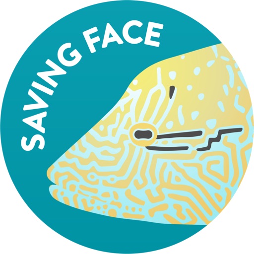 Saving Face HK