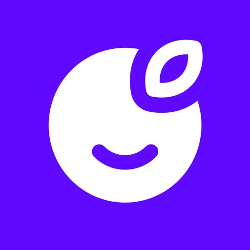 Plum - Haz crecer tu dinero