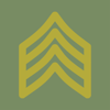 Army NCO Tools & Guide - Polemics Applications LLC