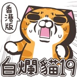 白爛貓19-動激動HK