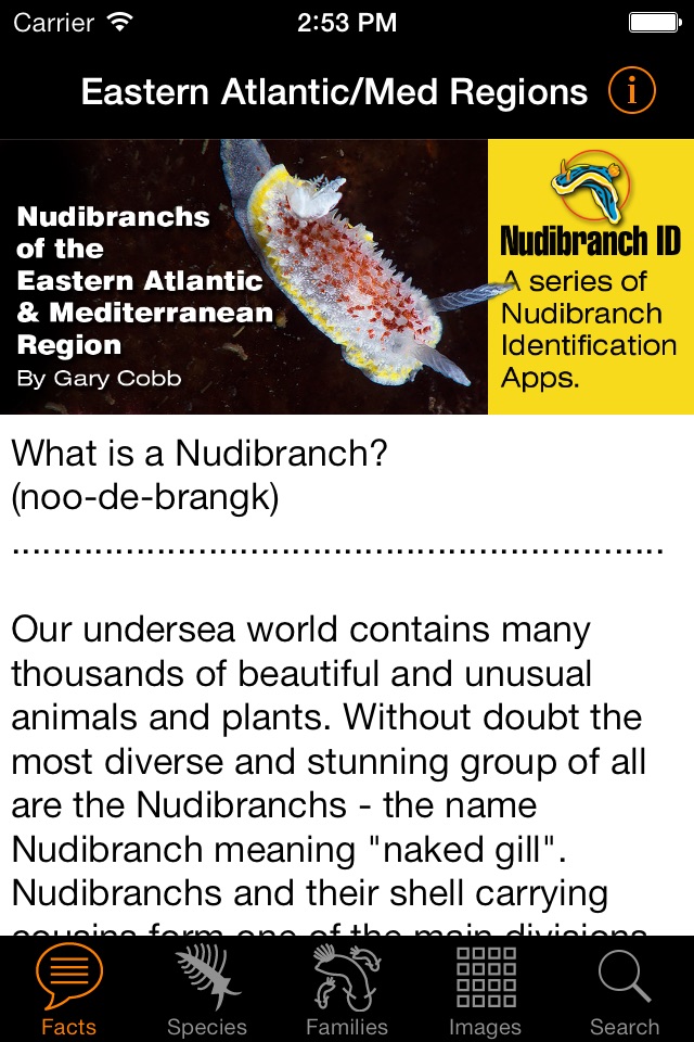 Nudibranch ID E Atlantic Med screenshot 2