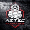 Aztec Aesthetics