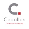 Ceballos Seguros