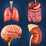 Get Organs Anatomy for iOS, iPhone, iPad Aso Report