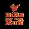 Bird On The Run