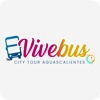 Vive Bus