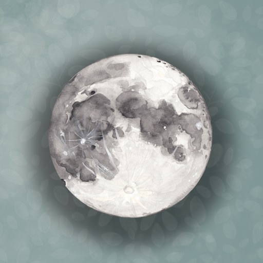 The 13 moons by guru singh llc