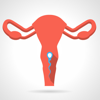 The Female Reproductive System - Coskun CAKIR