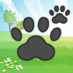 【Cat Game】Cat to Tap