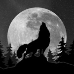 Wolf or Vampire Night