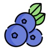 Blueberry Stickers