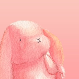 Adventures of a Hungry Bunny