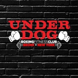 Underdog Boxing and Fitness