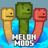 Mods for Melon Playground