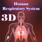 Human Respiratory System anatomy helps both students and teachers get a command of basic respiratory system in a fun and easy way