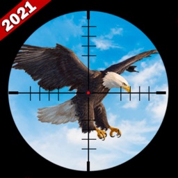 Bird Hunting Sniper Shooting