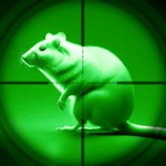 Night Vision Hunting
