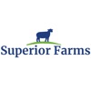 Superior Farms Procurement