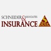 Schneider & Associates Online