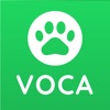 Lingoland VOCA - Vocabulary