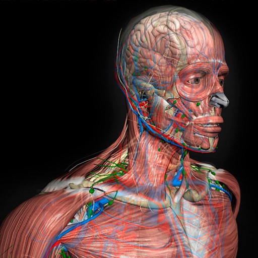 3D Human Anatomy Introduction iOS App