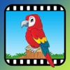 Icon Video Touch - Wild Birds