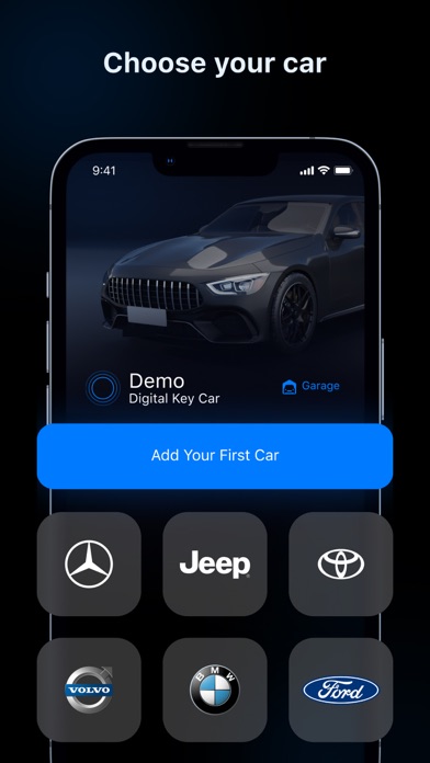 Digital Car Key - bluelink screenshot 2
