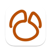 Navicat 16 for MongoDB