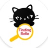 Finding-Belle