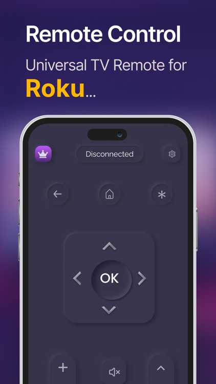 Universal TV Remote for Roku