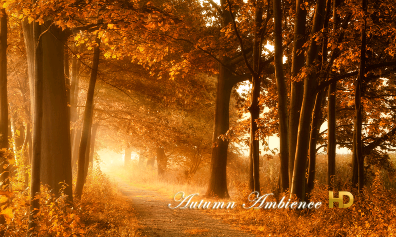 Autumn Ambience