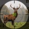 Welcome to our latest wild animal deer hunting game