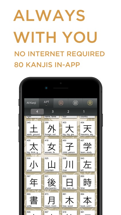 Pure Kanji Lite