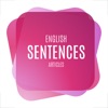 English articles in sentences