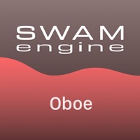 swam engine review
