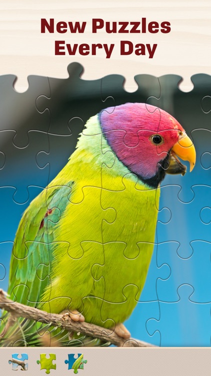 Jigsaw Puzzles for Adults HD screenshot-2