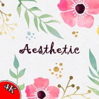 Aesthetic Wallpapers HD 4K