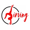 Irving Gymnastics