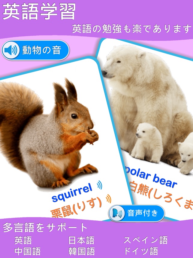動物図鑑 英語学習 をapp Storeで
